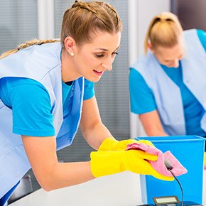 Expert Services