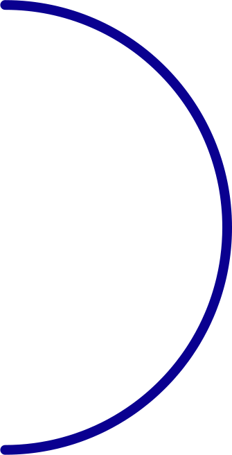 Expert Services